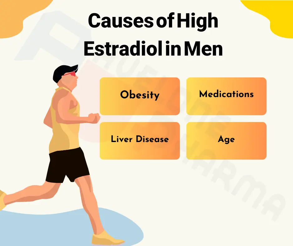 average estradiol levels in males 