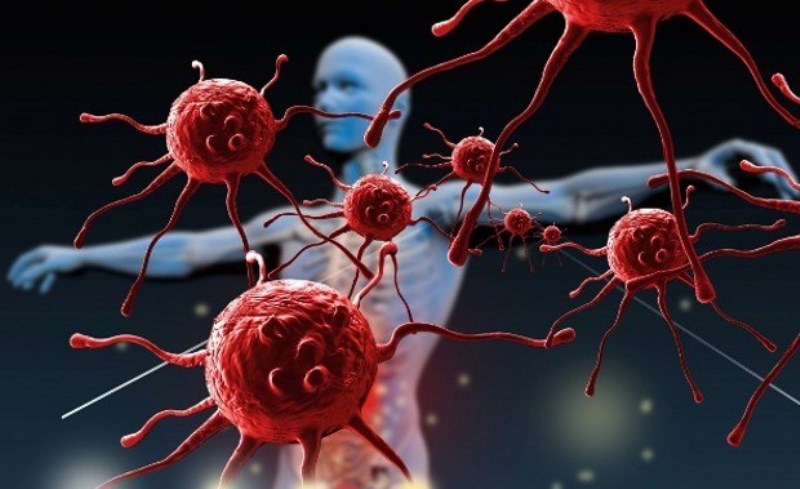 Immune