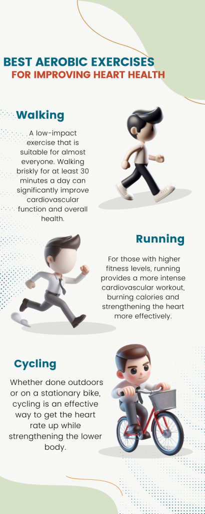 Effects of Aerobic Exercises on the Heart and Circulation