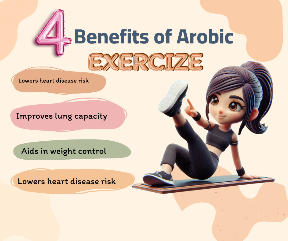 Effects of Aerobic Exercises on the Heart and Circulation