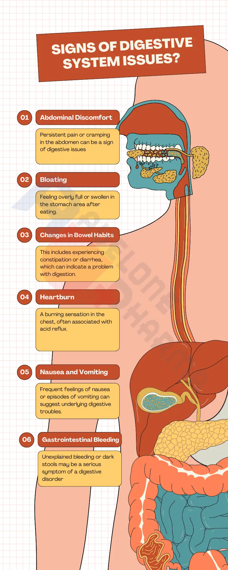 Treating Digestive Problems