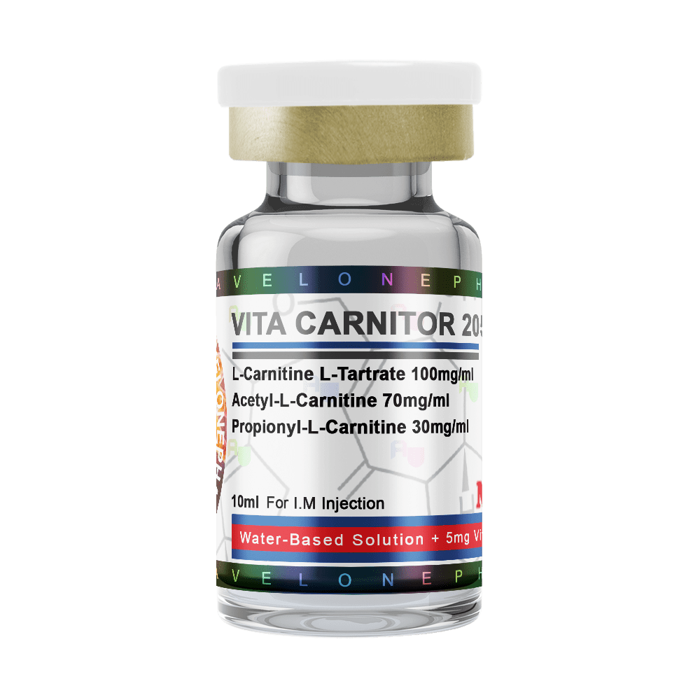 L-CARNITINE (10ml)